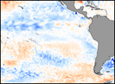 La Niña In Progress 