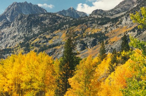 [Photo]: Fall in all its glory is arriving in the high country of the Eastern Sierra