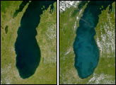 Whiting in Lake Michigan