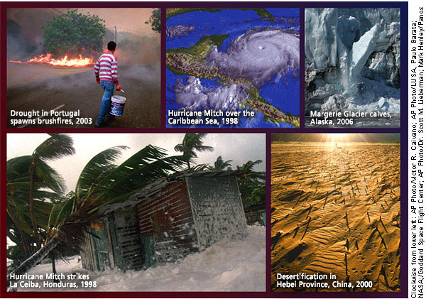 Driven to Extremes: Health Effects of Climate Change