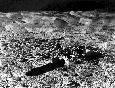 Image of the Moon