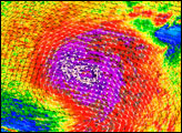 Typhoon Nesat