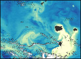 Colorful Chlorophyll around Marquises Islands