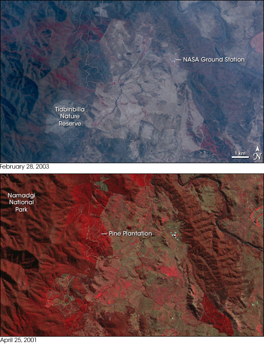 Fires in Australian Capital Territory Uncover Tidbinbilla Artifacts