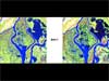 Landsat 5 images of the Louisiana coast taken before and after Hurricane Gustav.