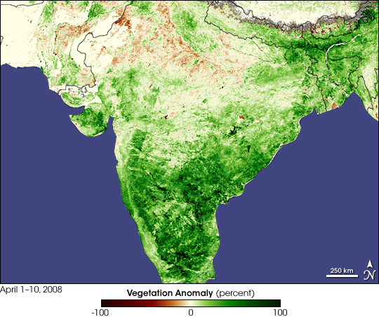 Monsoon Spurs Indian Green-up