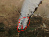 MODIS image of smoke