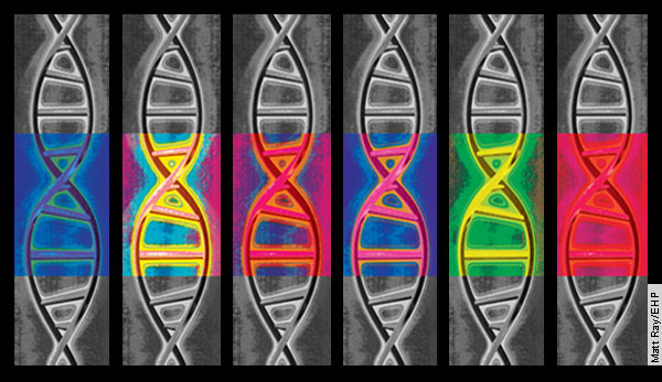 Epigenetics: The Science Of Change