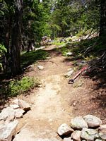 Colorado Fourteeners Program