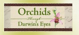 Orchids Through Darwin's Eyes