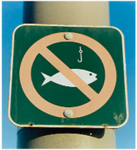 no fishing sign