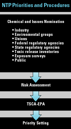 NTP Priorities