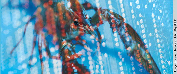 RoboLobsters: The Beauty of Biomimetics