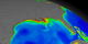 This animation begins with a wide shot of the United States and zooms down to the Gulf of Mexico while cycling through nearly ten years of SeaWiFS biosphere data.