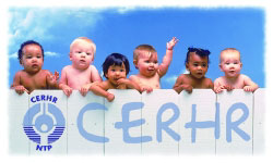 babies over CERHR logo