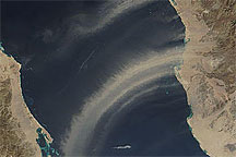 Dust Plumes over the Red Sea