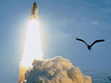 shuttle lift off with bird in foreground