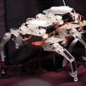 Spiderbot, Yosi (circa 2002) - The first in the line of MRE robots was Yosi, deemed 