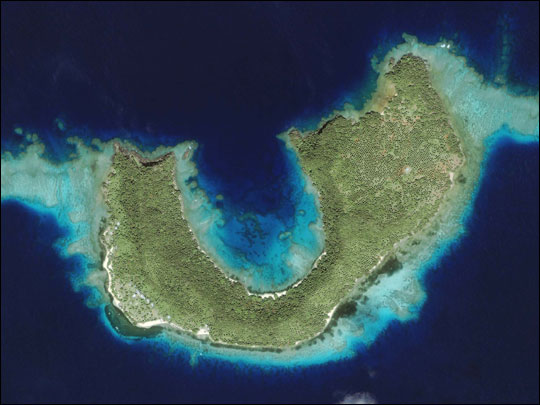 Coral Reefs around Matangi Island, Fiji