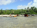 Debris from grounded and wrecked Korean fishing vessel