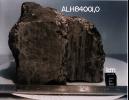 Mars Life? - Meteorite ALH84001