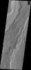 Daedalia Planum