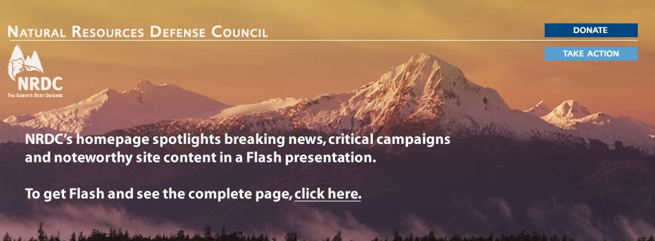 The NRDC home page spotlights breaking news, critical campaigns, and noteworthy site content in a Flash presentation