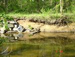 Location 8 - Failing section of rock wall bank protection at upstream end