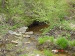 Location 45 - Mill Creek at SR 7 looking downstream - decent riparian zone