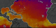 This animation show a year in the life of global ocean temperatures, June 2, 2002 to May 11, 2003. Green indicates the coolest water, yellow the warmest. 