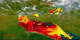 Transitions between relatively cloud free scenes of the Detroit region, using true color land and clouds with false color-chlorophyll water images, all from SeaWiFS