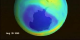 Ozone over Antarctica from August 1, 2000 to September 6, 2000 as measured by Earth Probe TOMS