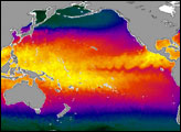 Global Sea Surface Temperature from AMSR-E
