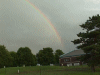 rainbow pic