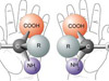 drawing showing left- and right-handed amino acids