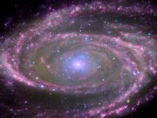 Spiral Galaxy M81