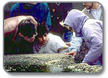 Visitors at Yaquina Head Tidepools.