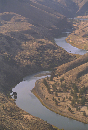 The Lower Canyon