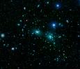 Dwarfs in Coma Cluster