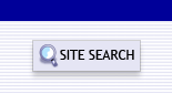 site search