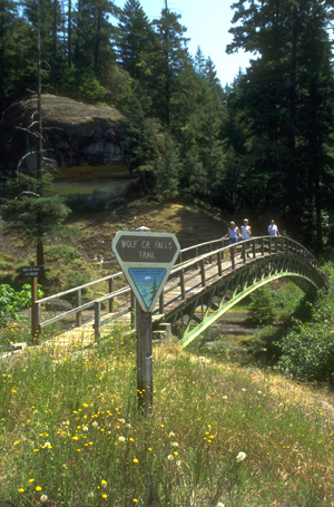 Arch bridge over Little River at beginning of trail to falls
