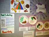 Middle school students taking Planet Health lessons created this wall mural to explain food labeling and portion size.