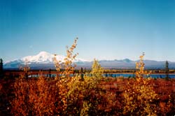 Rural Alaska in the autumn
