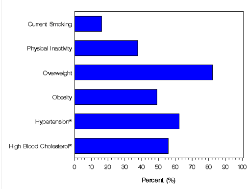 Rates of Risk Factors for Complications per 100 Adults with Diabetes, United States, 2004. Links for data figures, sources, methods and data limitations, and detailed tables follow this image.