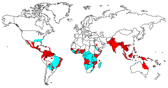 World Distribution of Dengue 1999