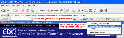 screenshot of Internet Explorer with context menu to allow pop-ups highlighted
