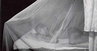 Child under a bednet