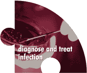 image of puzzle piece that reads "diagnose and treat infection"