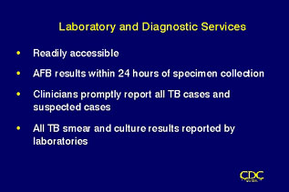 Slide 102: Laboratory and Diagnostic Services. Click for larger version.