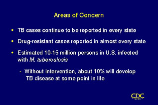 Slide 4: Areas of Concern.  Click for larger version.
